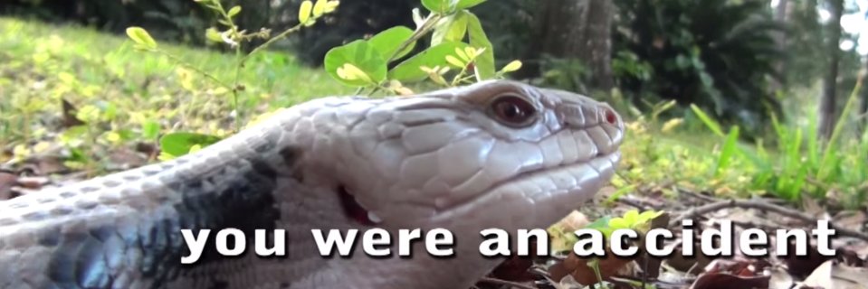Jeremywatrbotms's profile banner image
