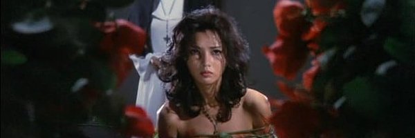 ThatBoyAFreak Profile Banner