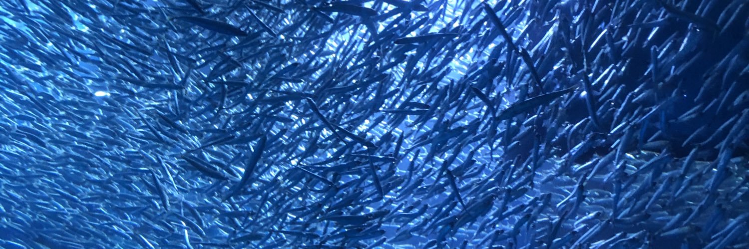 mameta1124's profile banner image
