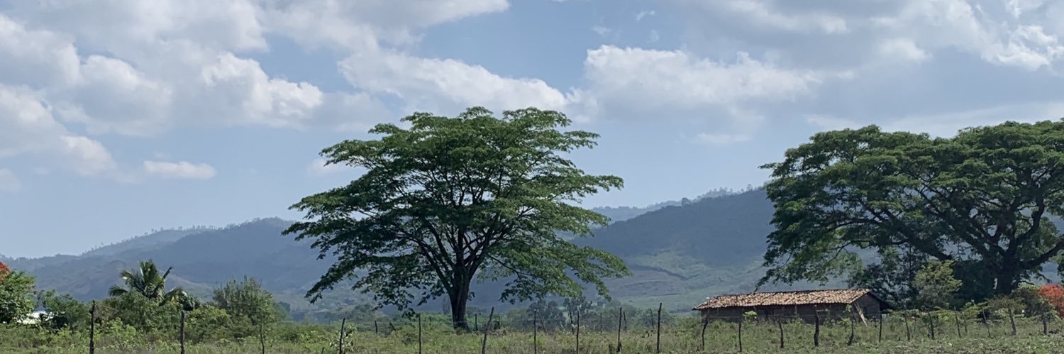 DanAndress's profile banner image