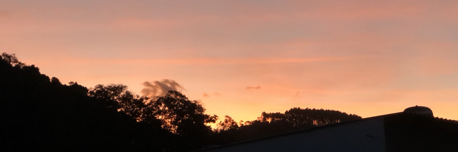 LWellerson's profile banner image