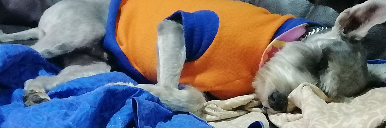 cuallitas1's profile banner image