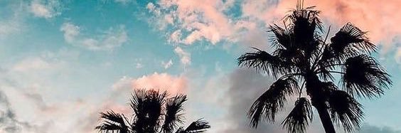 beeiittta's profile banner image