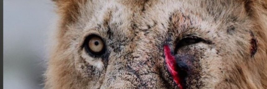 JAYMANT_'s profile banner image