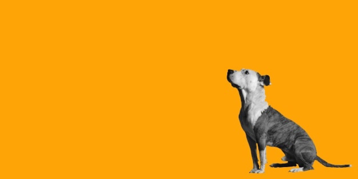 bobosihitam's profile banner image