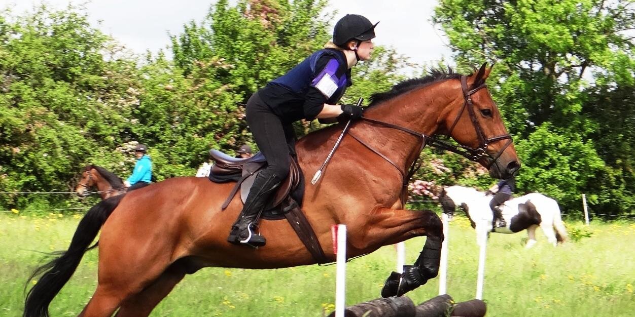 WilsonEventing's profile banner image