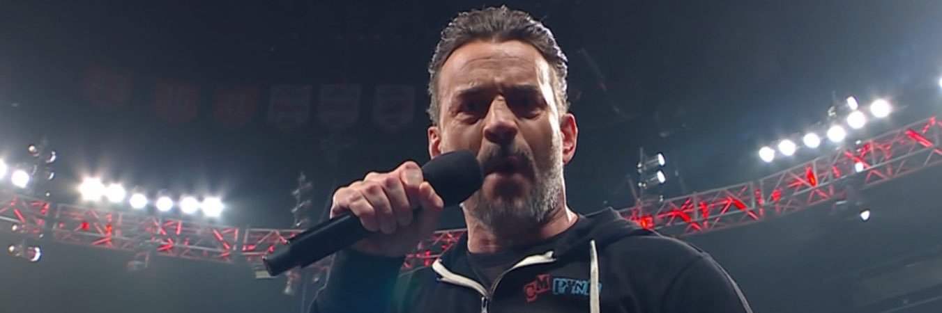 CM Punk's banner