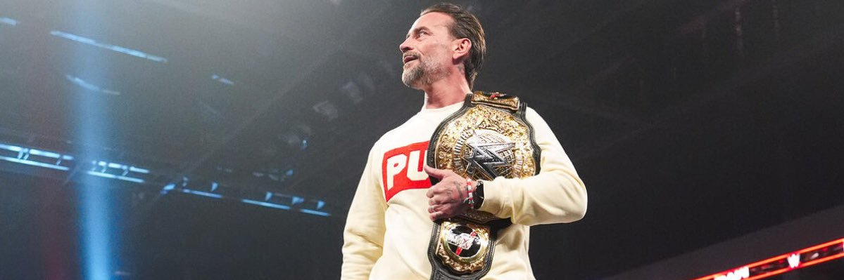 CM Punk banner