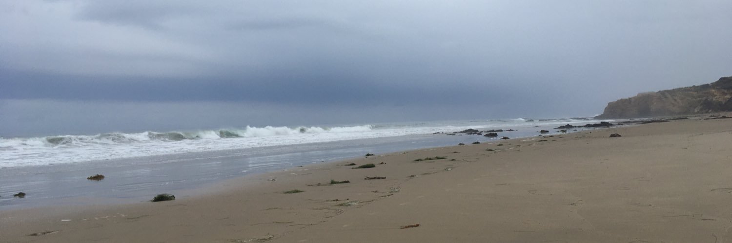 Susan W. Akhavan banner