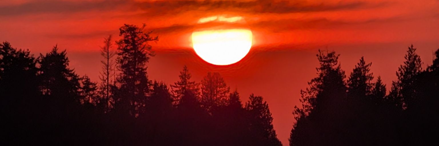 TomaTimothy's profile banner image