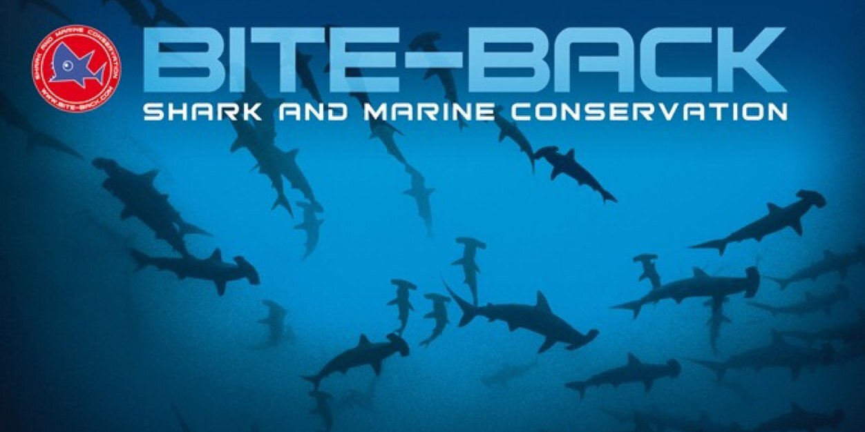Bite_Backmanc's profile banner image
