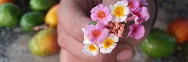Angie_Rb234's profile banner image
