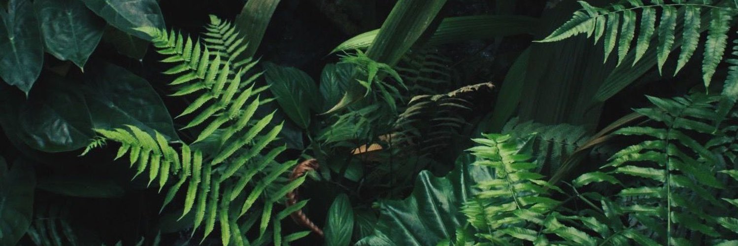 kyrstenkenner's profile banner image