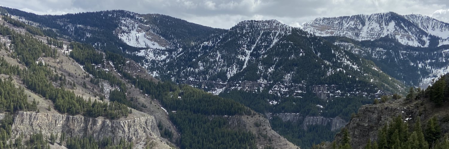 CallissaC's profile banner image
