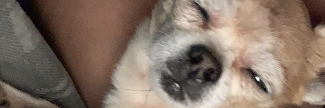 Nickrod1420's profile banner image
