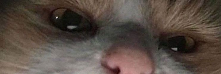 ezylryb_'s profile banner image
