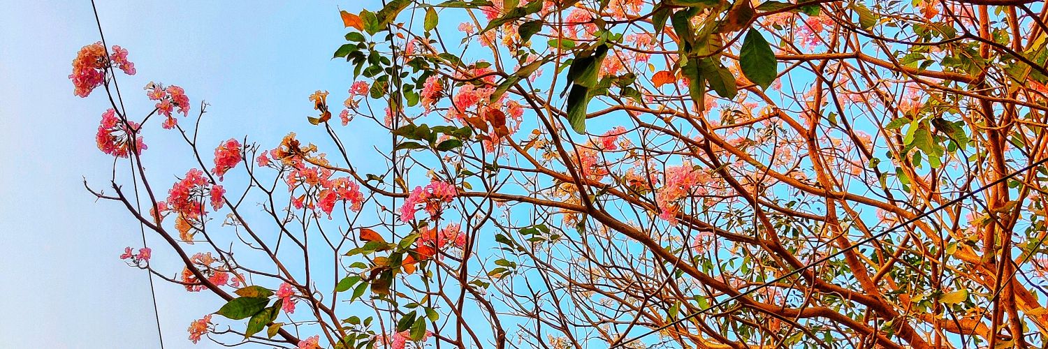 keruthika's profile banner image