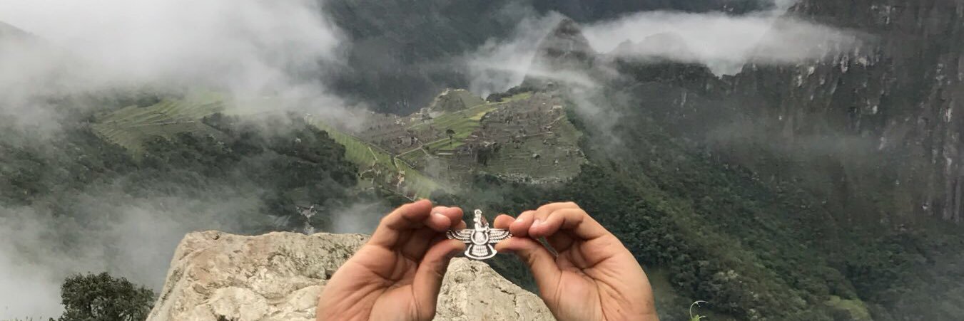 Ali R. Manouchehri banner