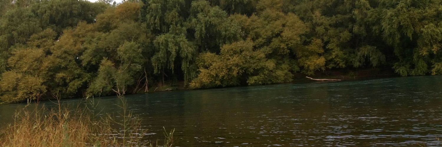 daaaai96's profile banner image