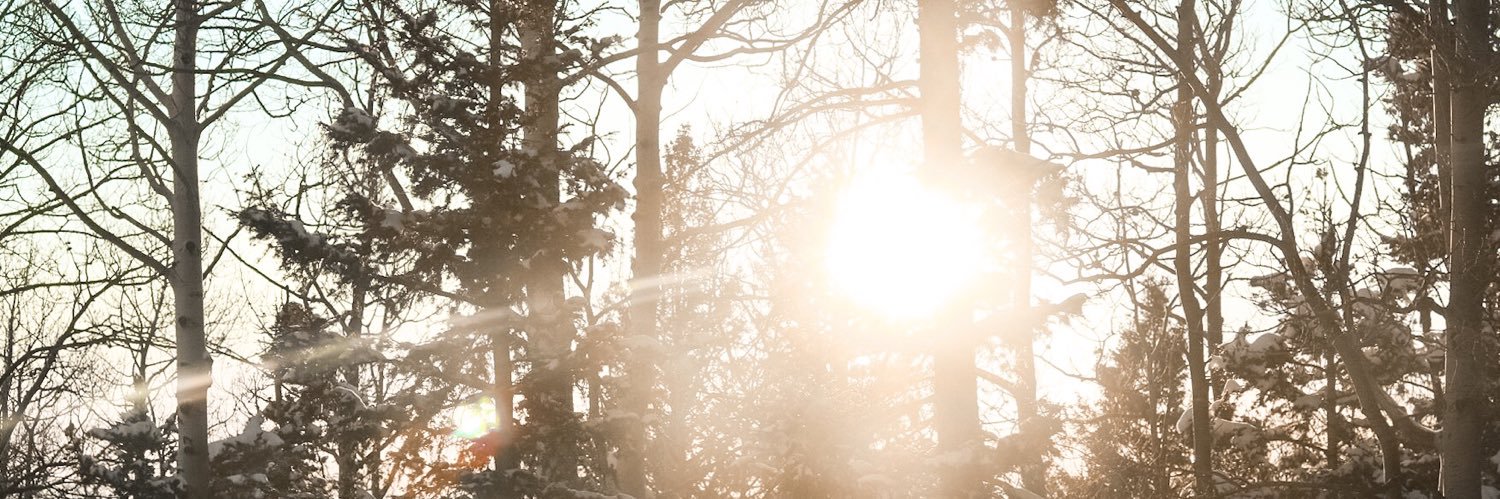 blwilhel's profile banner image