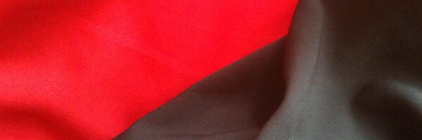 lupicinio Profile Banner