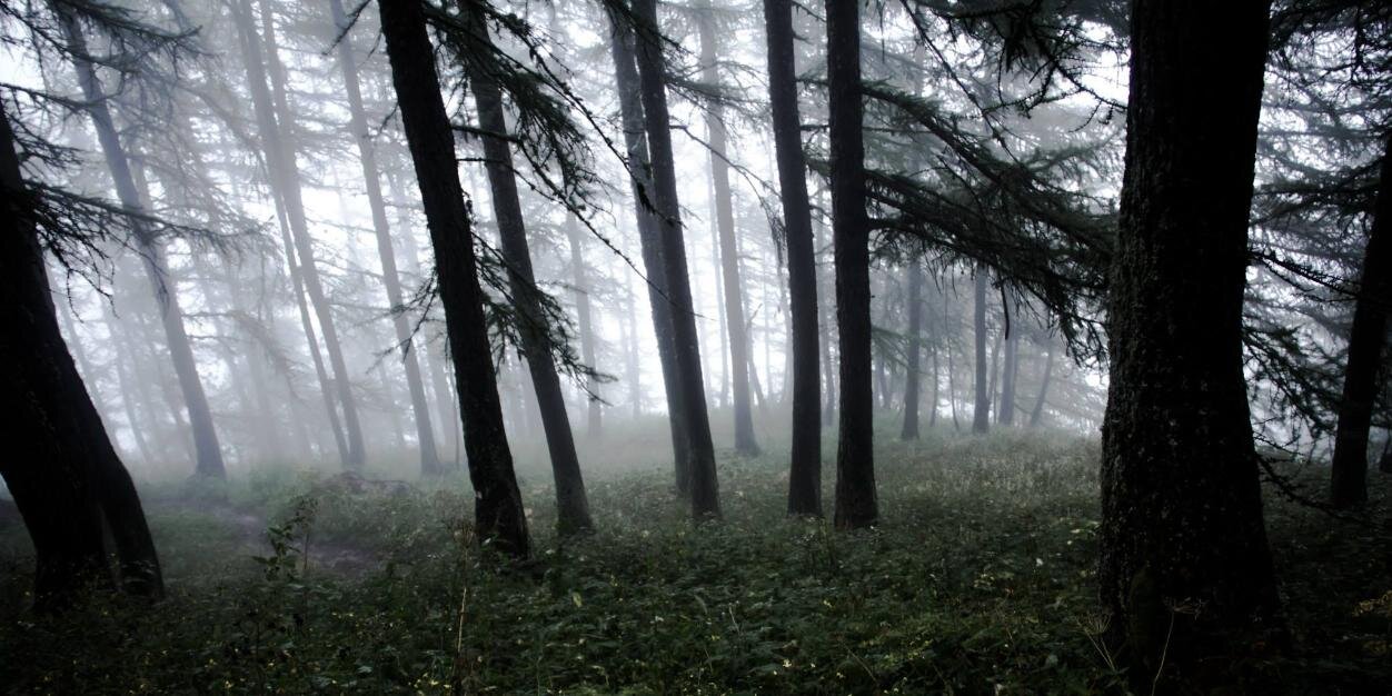 Midnight 🇫🇷 banner