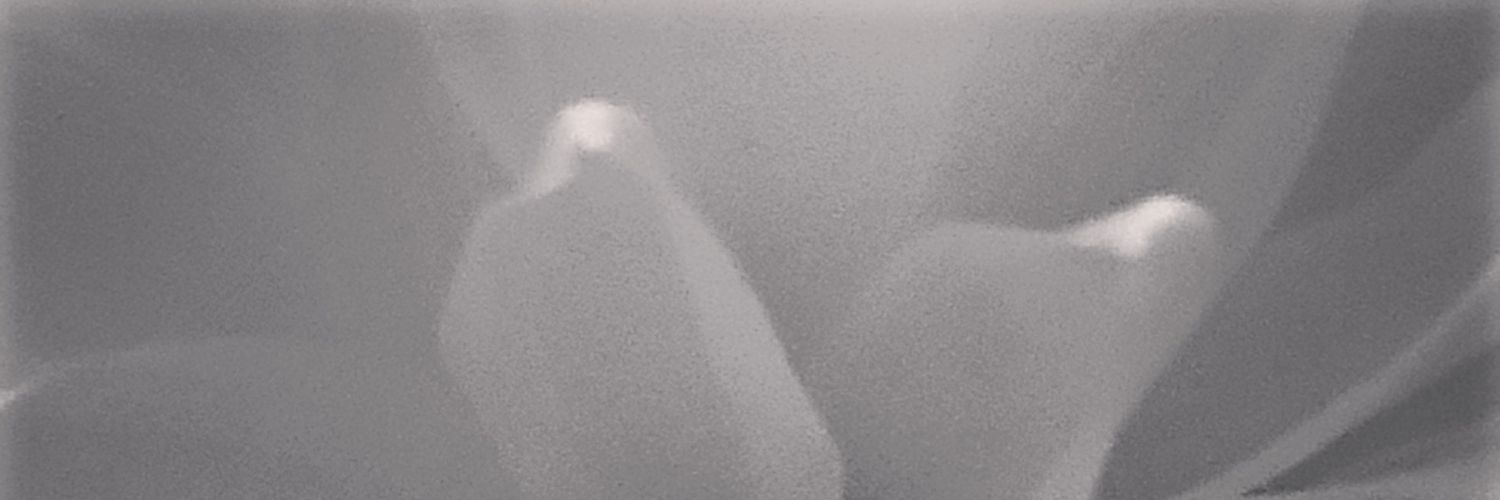 StefenSchrapp's profile banner image