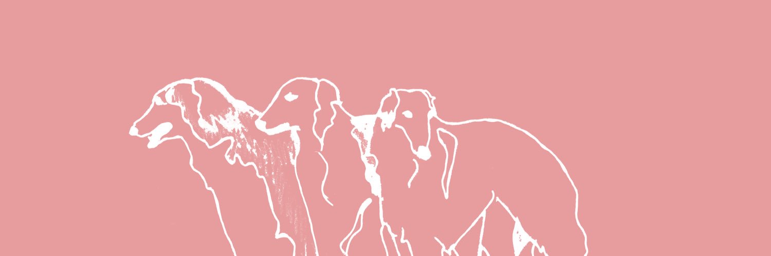 Wild Patterns banner