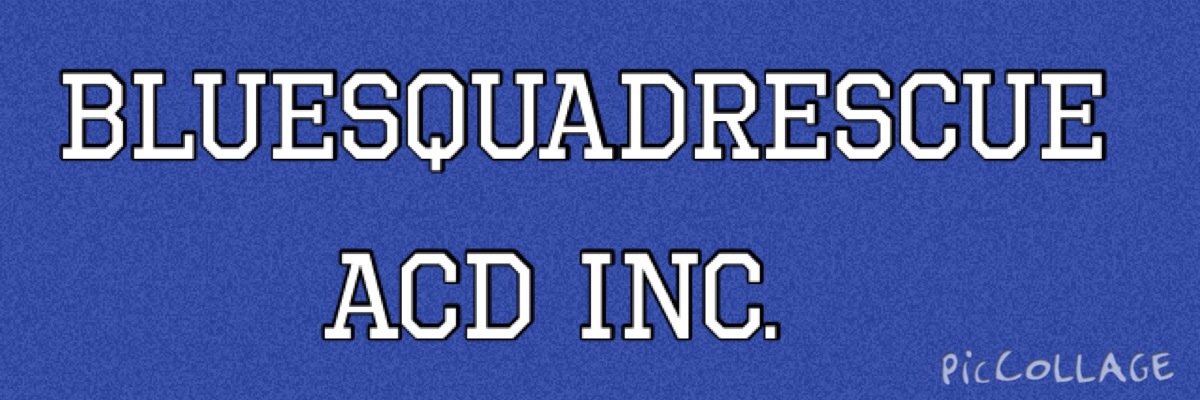❤️BlueSquadRescue❤️ banner