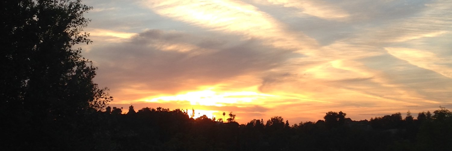 BarbC21's profile banner image