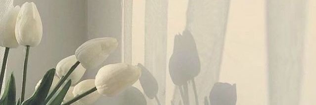 meme_itigo's profile banner image