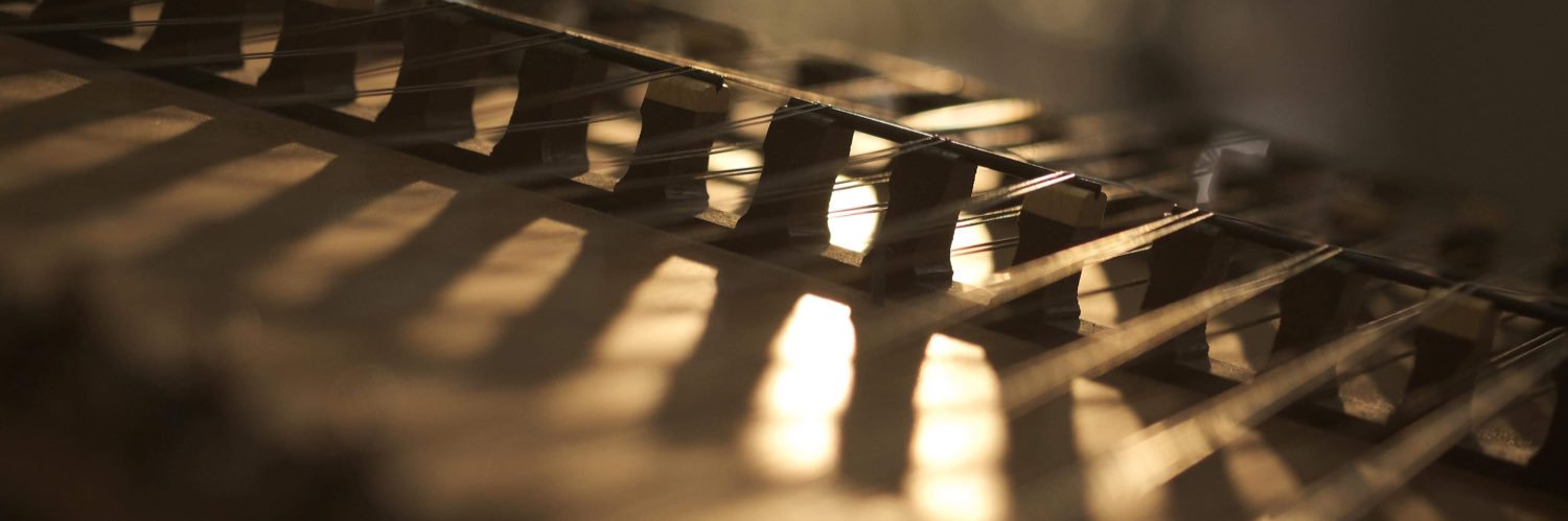 dulcimer_inatch's profile banner image