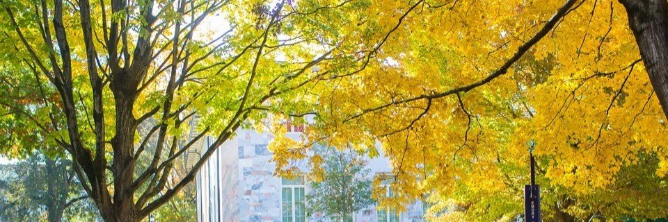 Philip Brooks banner