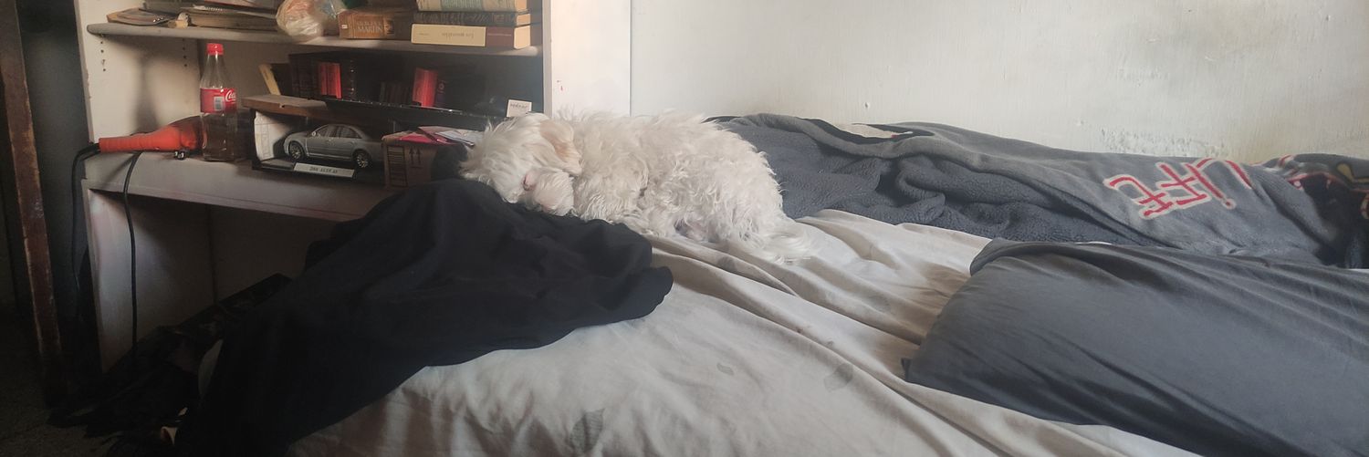 ChichoTheGod's profile banner image