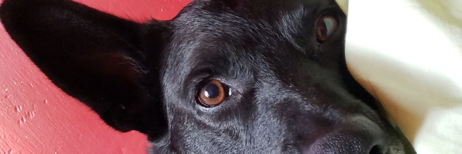 iQueCulito's profile banner image
