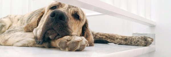 fidel_FQ Profile Banner