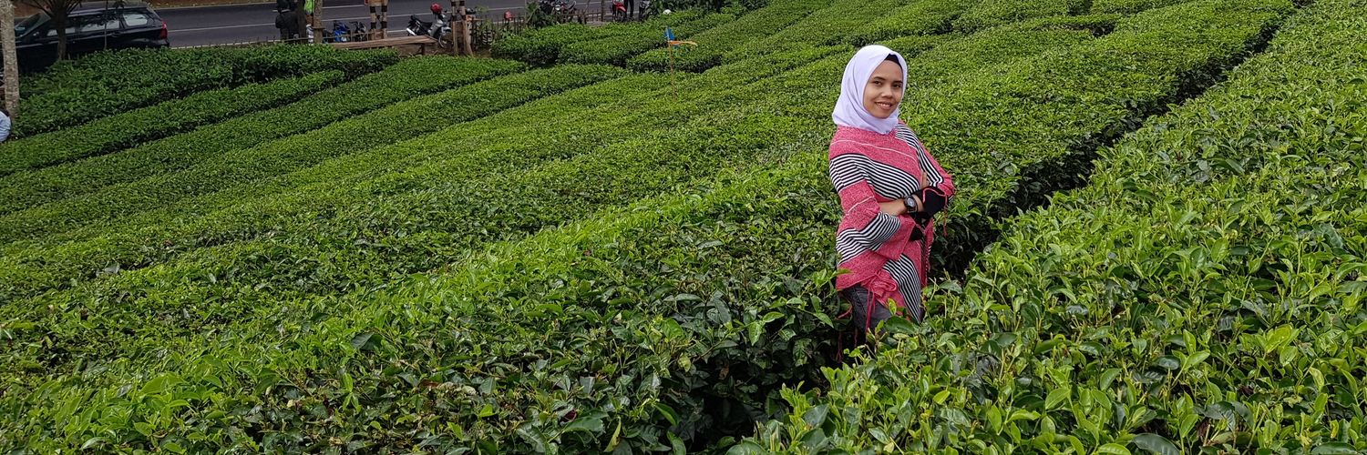 dwipenyu's profile banner image