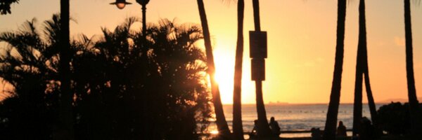 reallysleepii Profile Banner