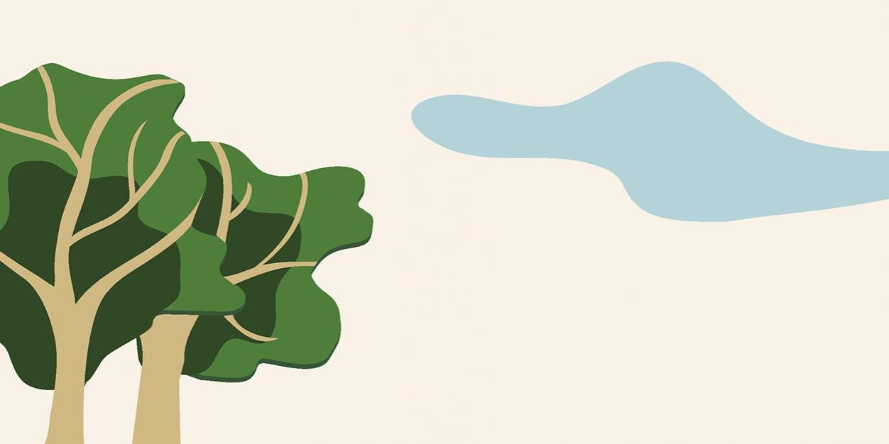 Spice and Spaces banner