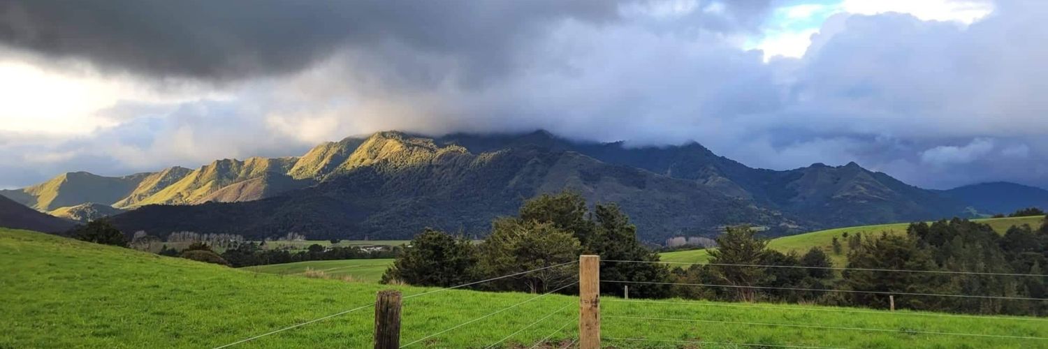 Kezzie Faalilo banner