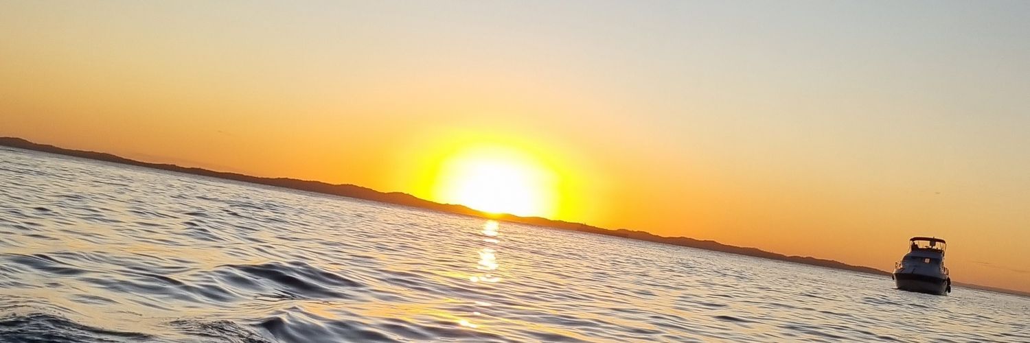 b_showza's profile banner image
