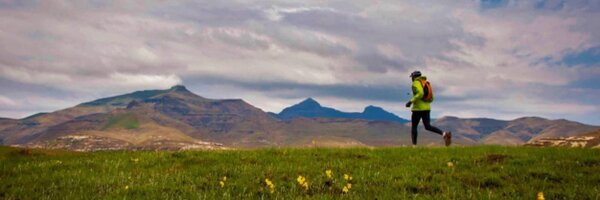 NealBresler Profile Banner