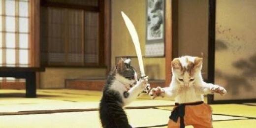 kittycutiest's profile banner image