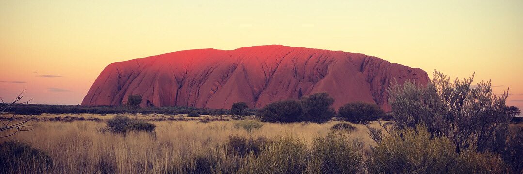 Melissa Cunningham banner