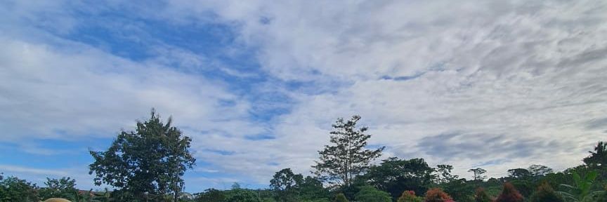 aroemy12's profile banner image