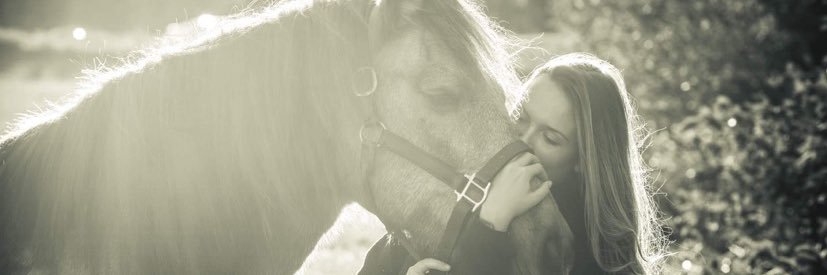 MarleeJ88's profile banner image