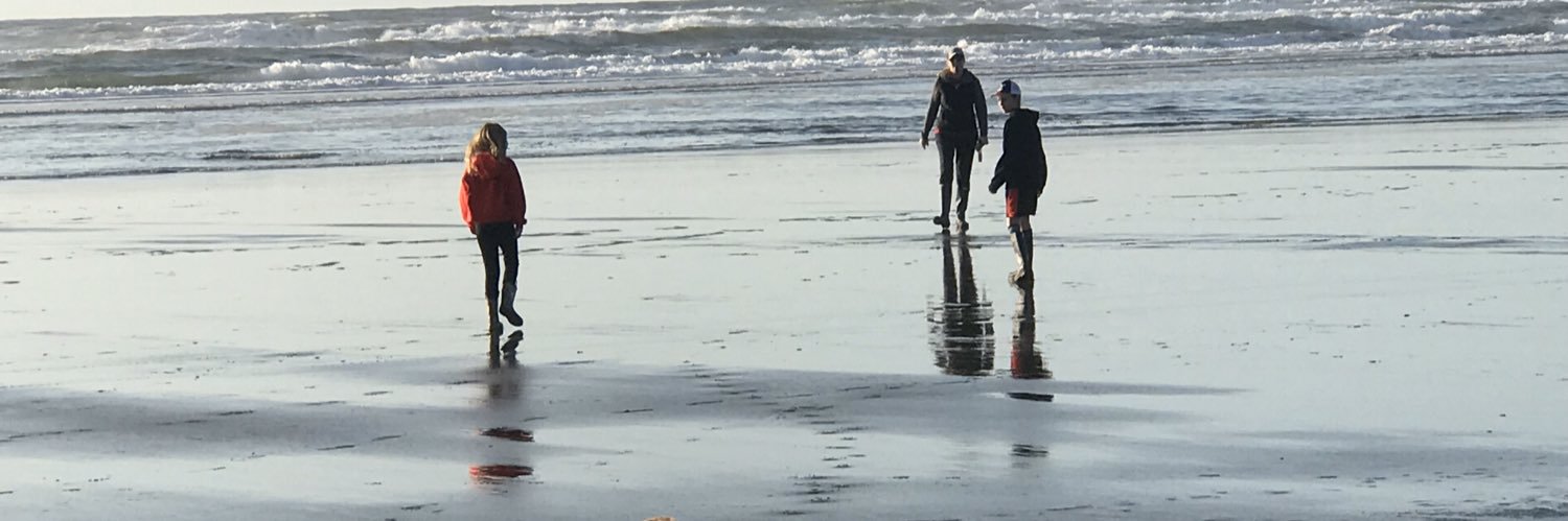 Sarah Maynard banner