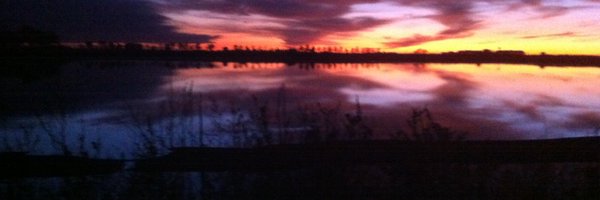 tgortari Profile Banner