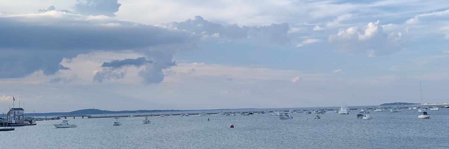 dr. shrimp puerto rico banner