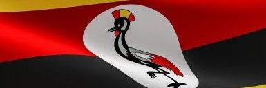 Simon banner